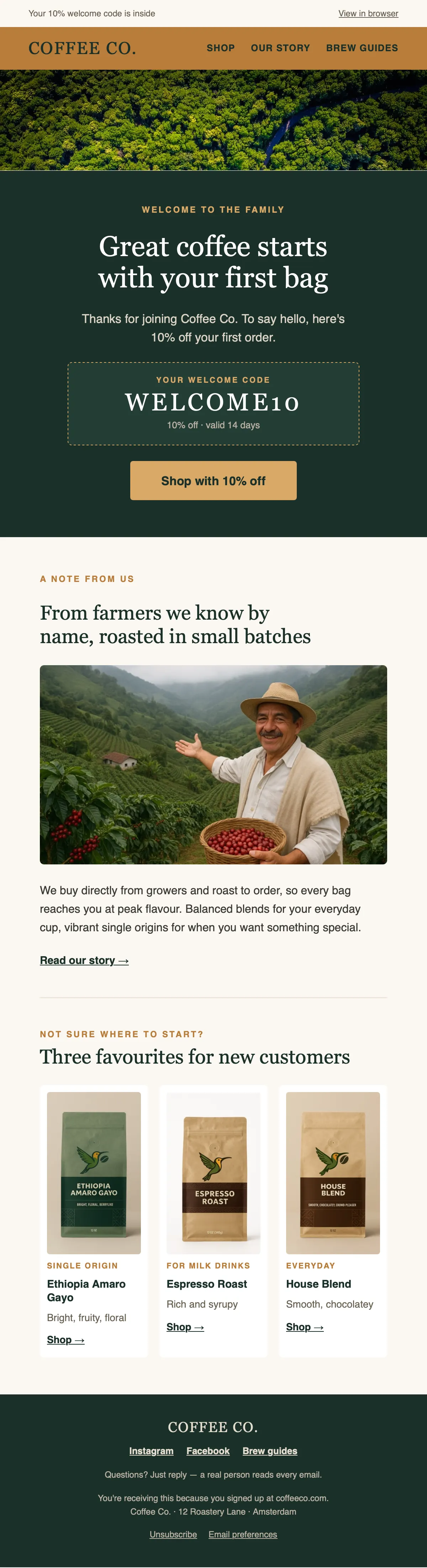 The rebuilt welcome email: one message, the discount code and button above the fold
